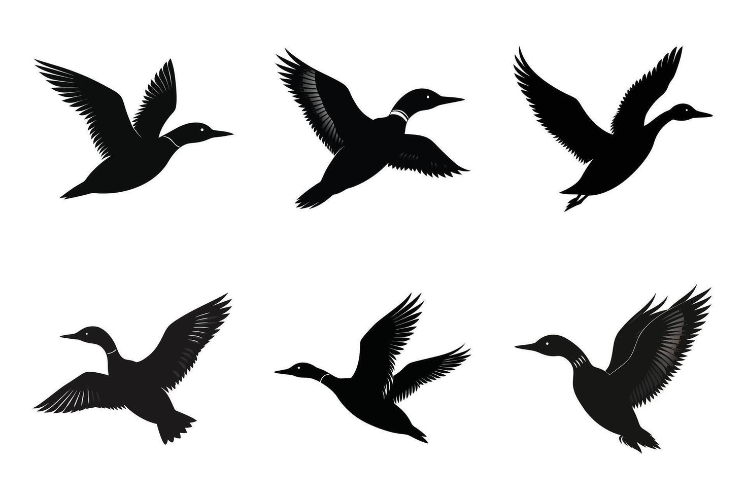 flying Loon color silhouette. vector