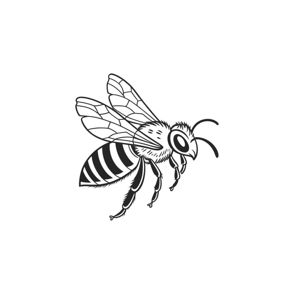 A black and white drawing of a bee vector