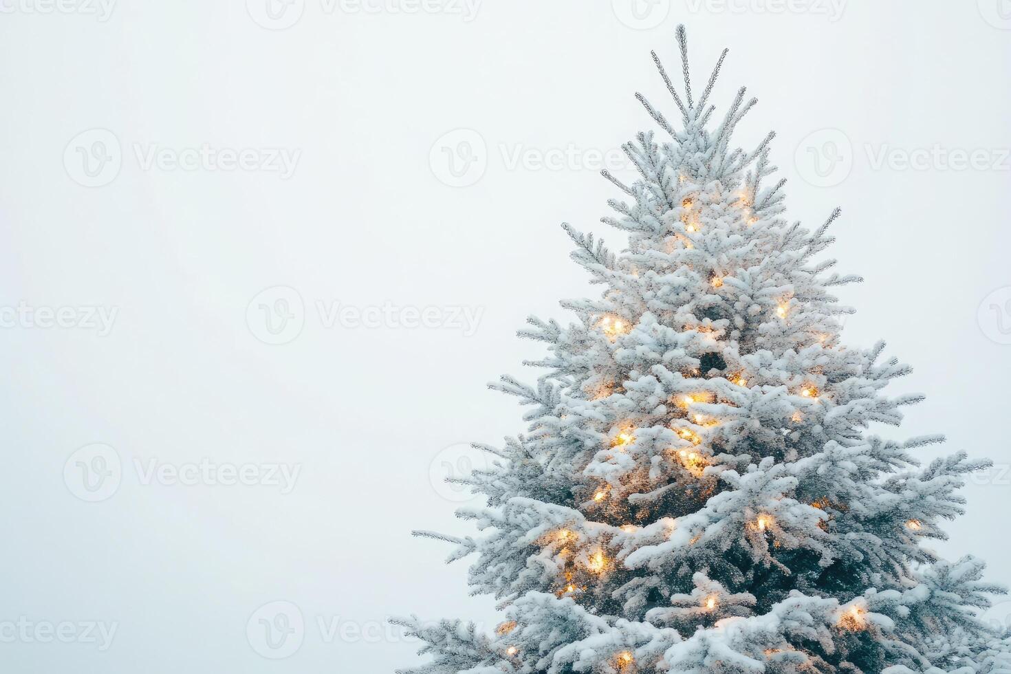 A Snow-Covered Christmas Tree with String Lights photo