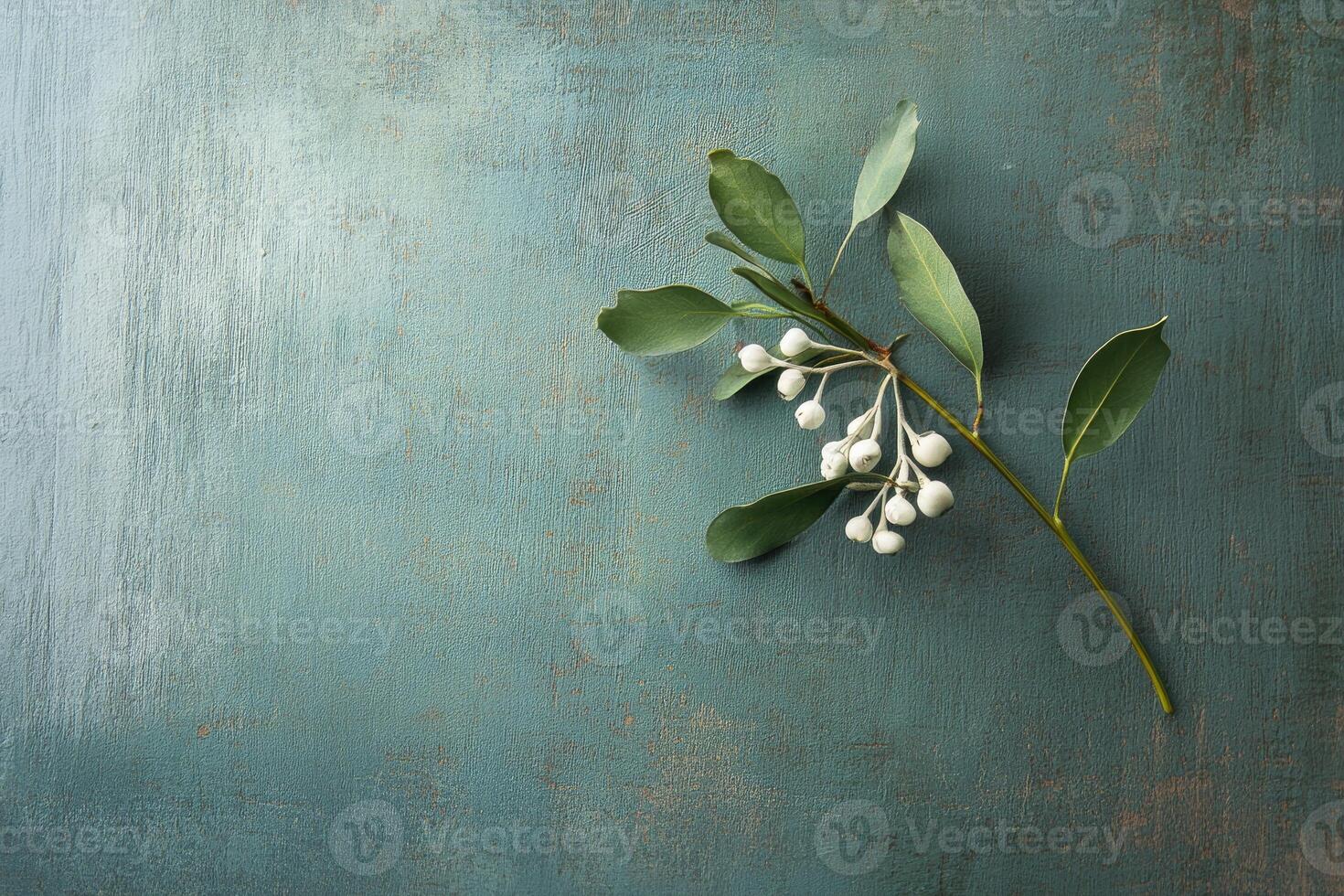 A Sprig of Green Leaves and White Berries on a Textured Teal Surface photo