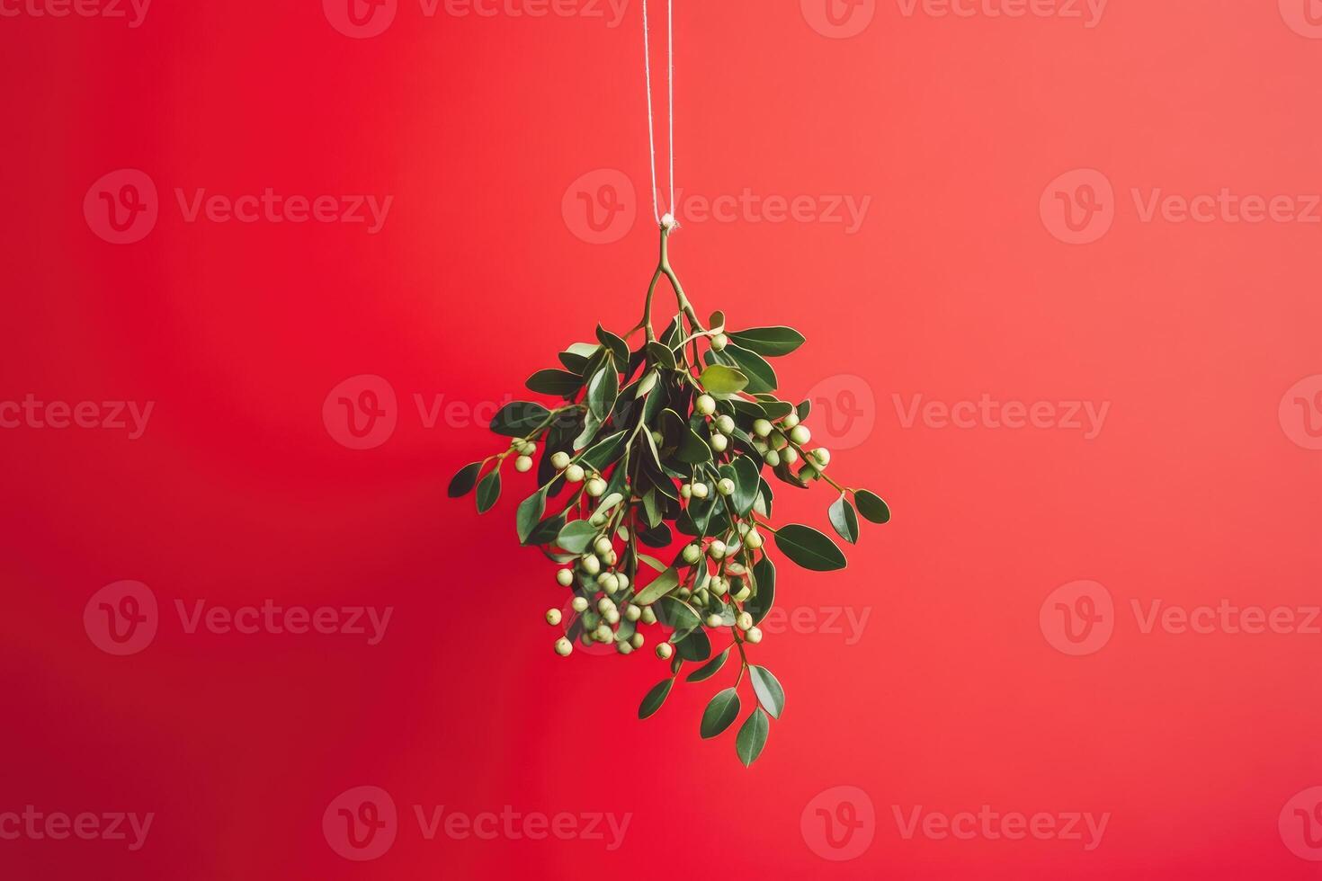A sprig of mistletoe with white berries hanging from a string against a red background photo