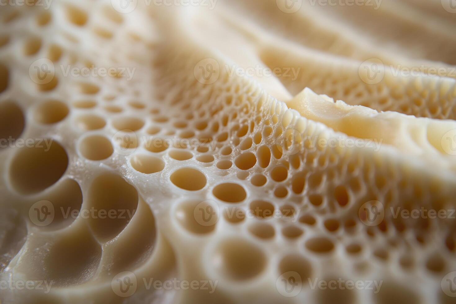 Close-up of a Cream-Colored Porous Surface with Irregularly Shaped Holes photo