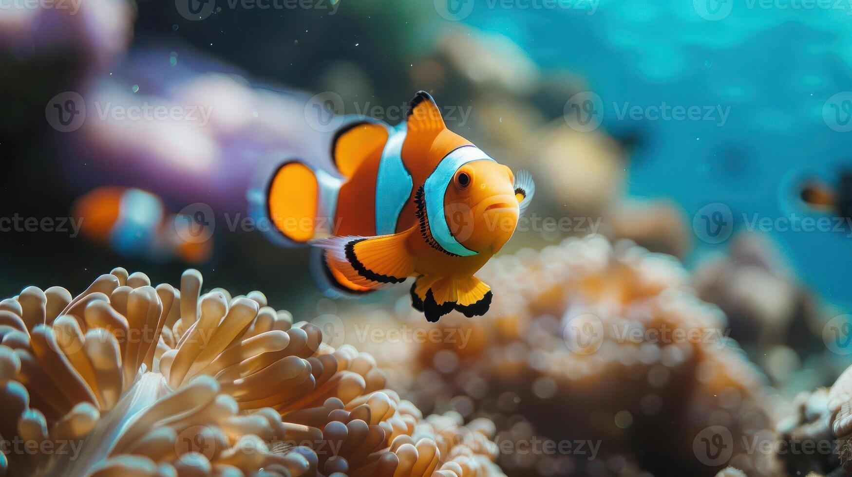 A colorful underwater scene featuring Nemo from 'Finding Nemo' surrounded by tropical fish. photo