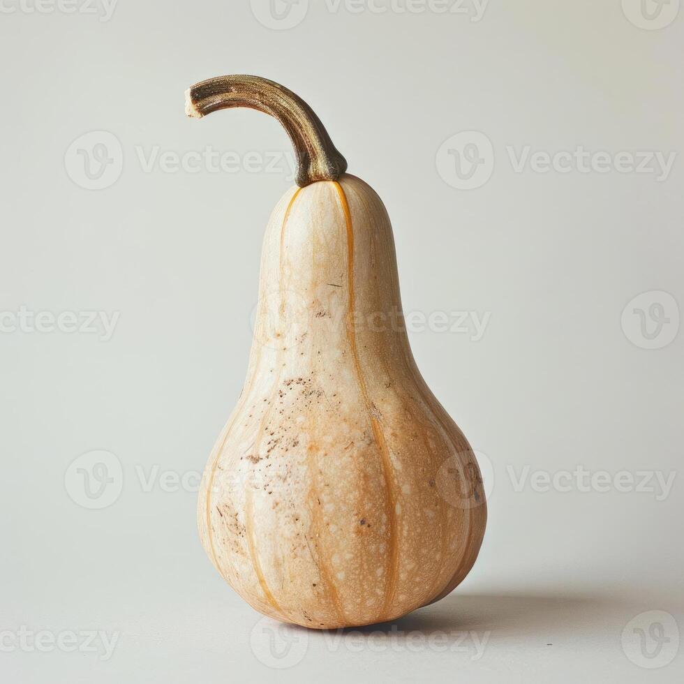 A ripe, pumpkin-colored pumpkin with a green stem attached, standing against a white background. photo
