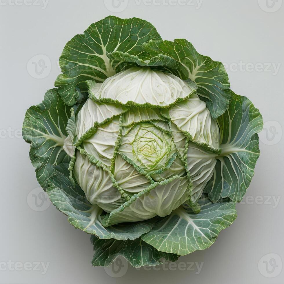 A whole, freshly cooked cabbage with the stem intact, arranged in a circular pattern. photo