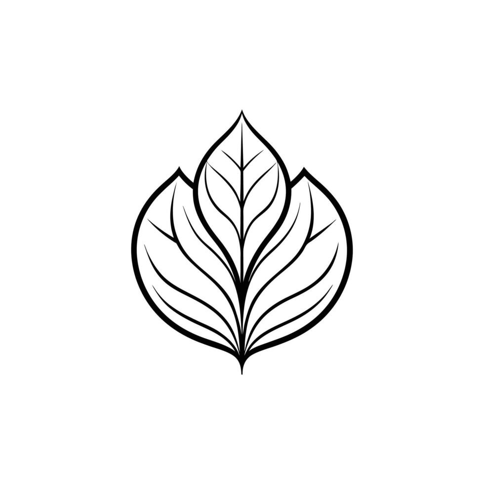 A black and white drawing of a leaf vector