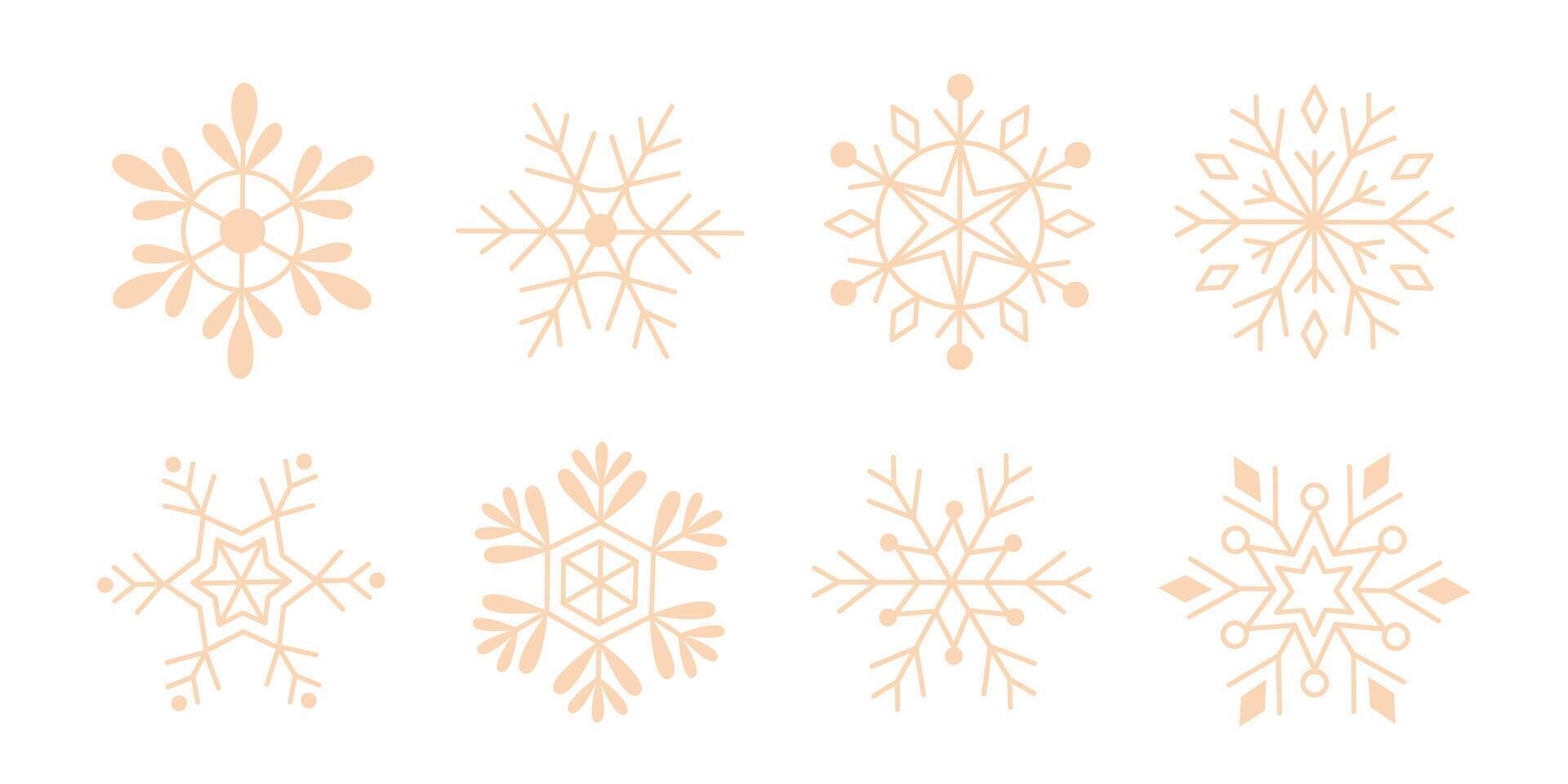 Set of various winter snowflakes vector