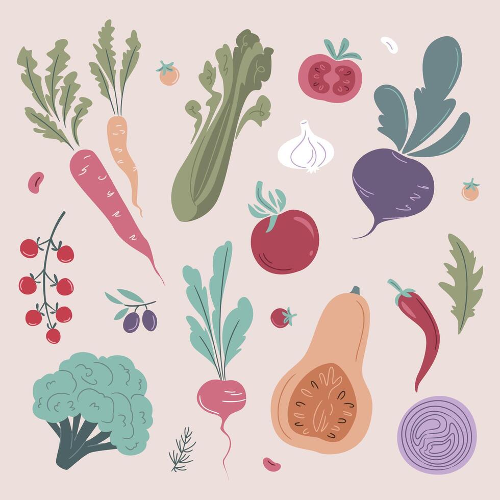 Vegetables collection. Pumpkin, Tomato, Broccoli, Carrot, Onion, Radishes, Beetroot, Pepper, Garlic, Olives, Arugula, Celery, Beans, Herbs. Organic food. Farm Illustration in flat style vector