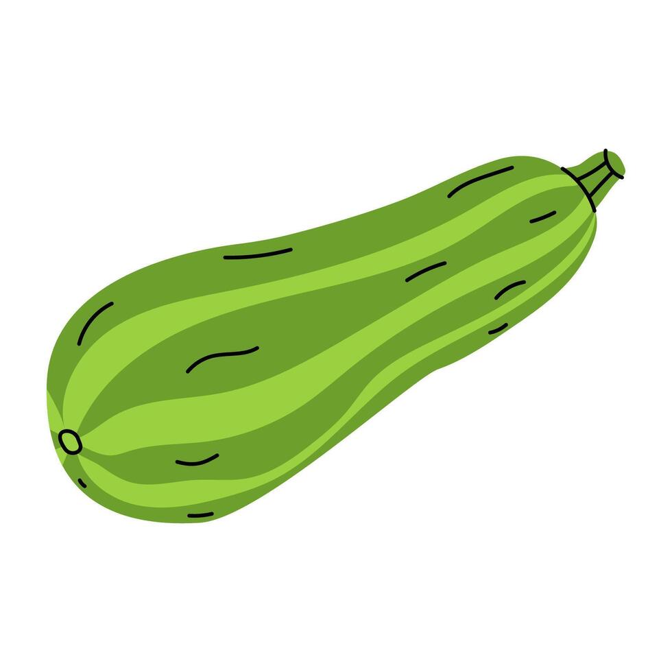 Fresh, vibrant green zucchini with a smooth surface and subtle stripes lying on a white background vector