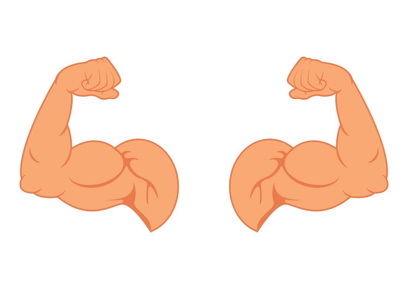 Two Bicep muscle flexing flat design isolated on white background. Two muscle arms vector