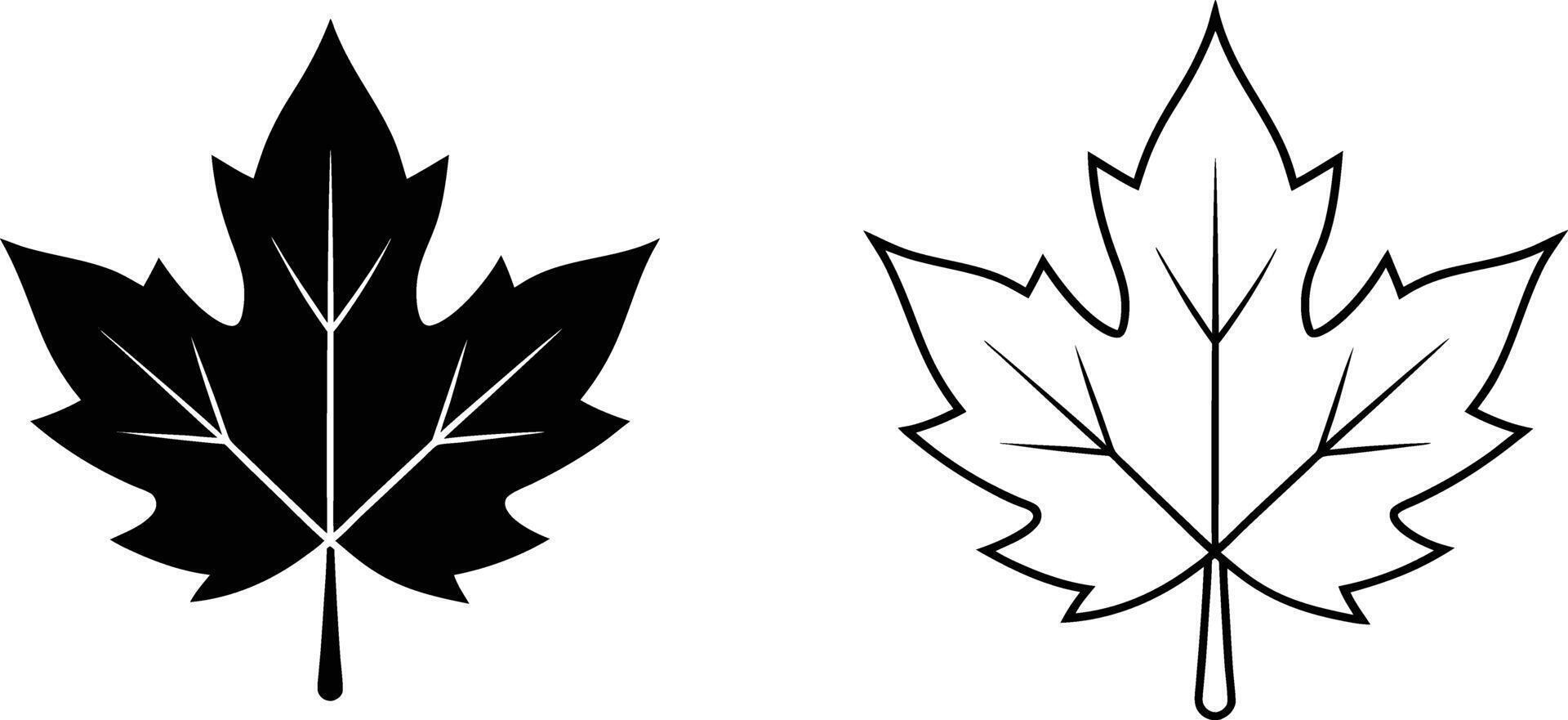 Black and White Maple Leaf Illustrations vector