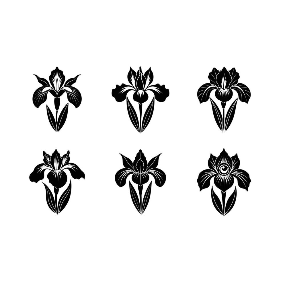 Stunning designs for your creative projects vector