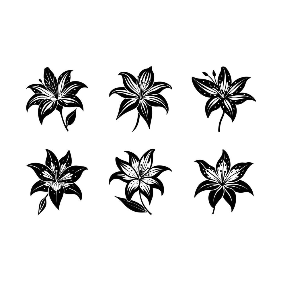 Eye-catching tiger lily design, perfect for all your graphic projects vector