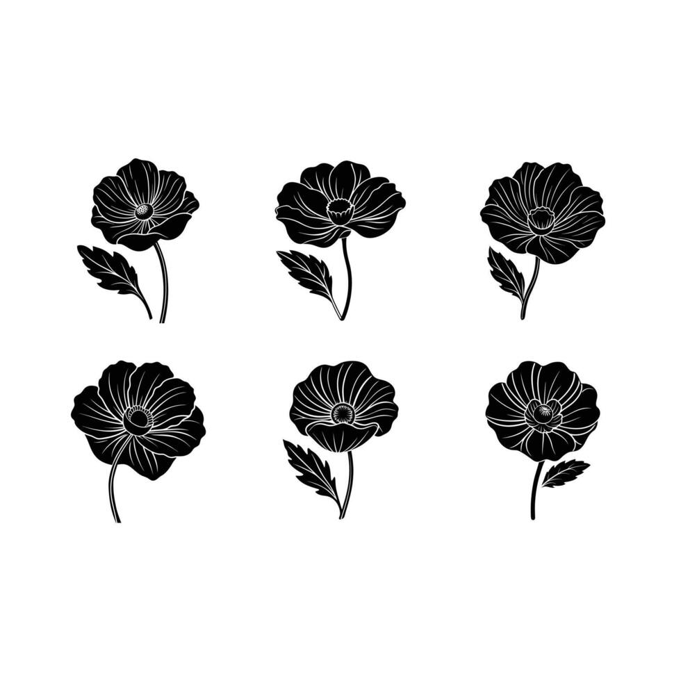 Explore stunning Iceland poppy designs created with for your projects. vector