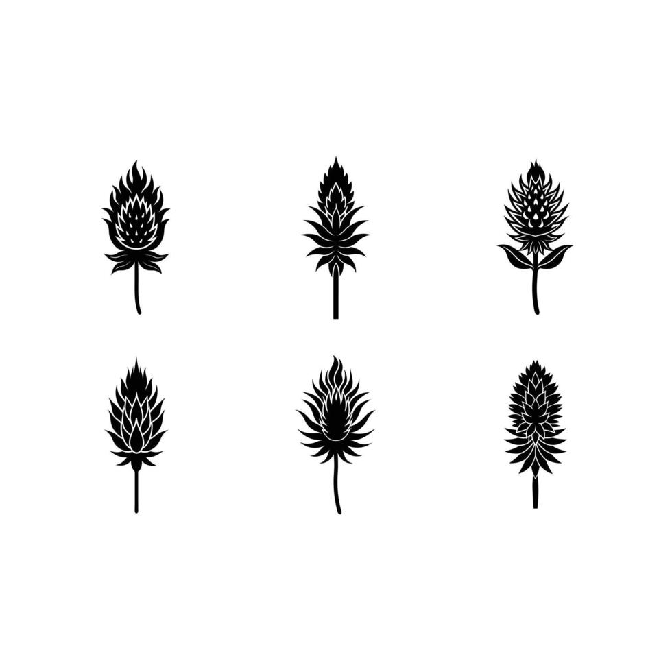 Explore vibrant Red Hot Poker designs for your creative projects. vector