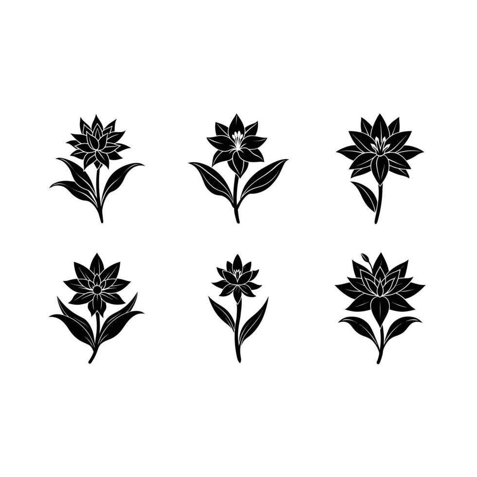 Explore beautiful tuberose designs, perfect for your creative projects vector