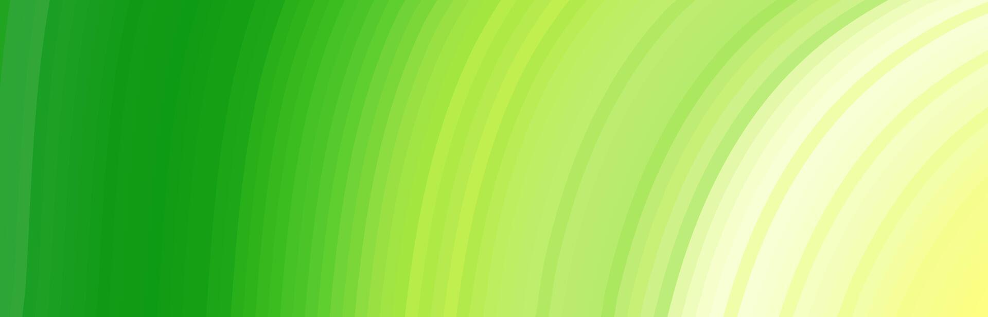 Abstract green and yellow curved lines background. vector