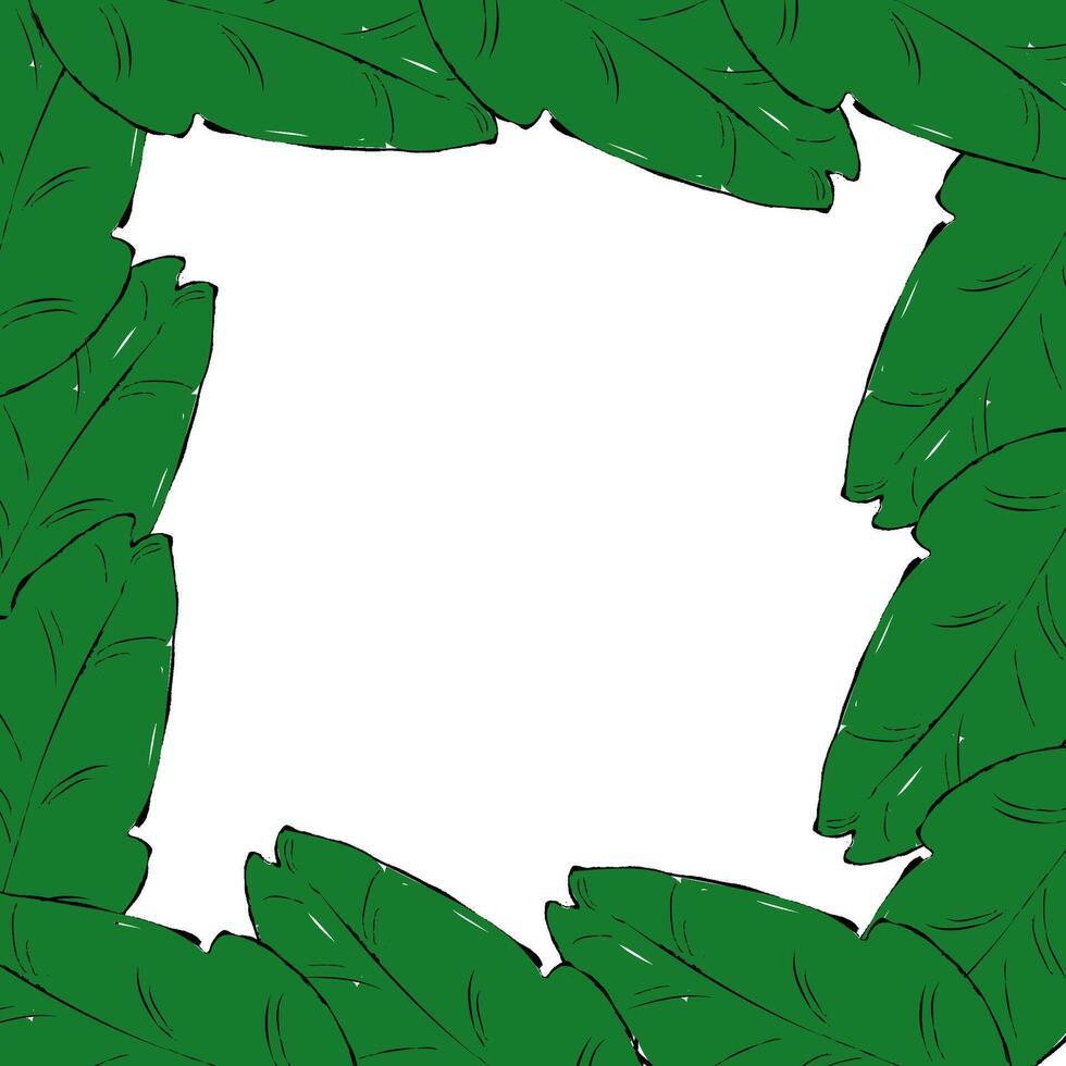 tropical leaves square border frame in graphic. illustration with beautiful amazon rainforest tropic plants. Summer, travelling designs, posters and wallpapers. vector