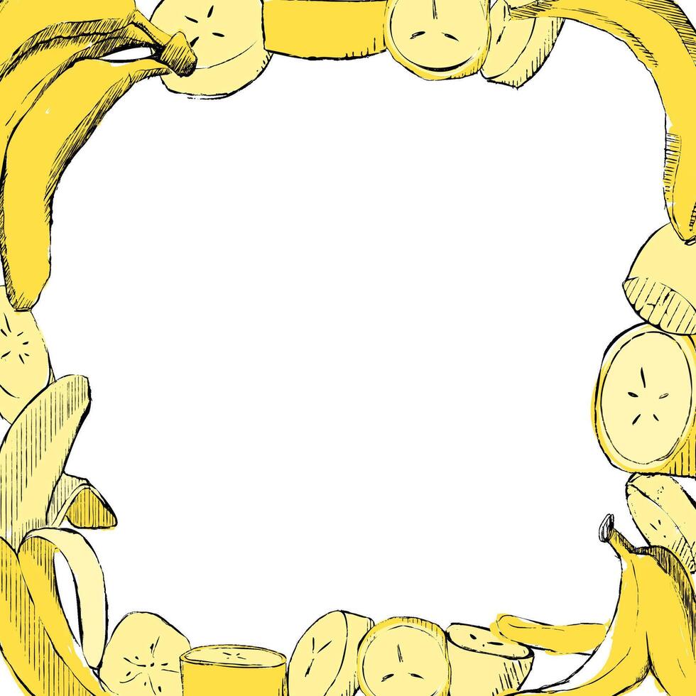 Fresh ripe yellow banana square frame. graphic hand drawn illustration, isolated on white background vector