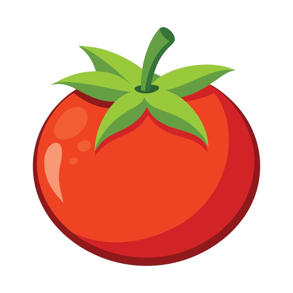 Tomato red vegetables white isolated background vector