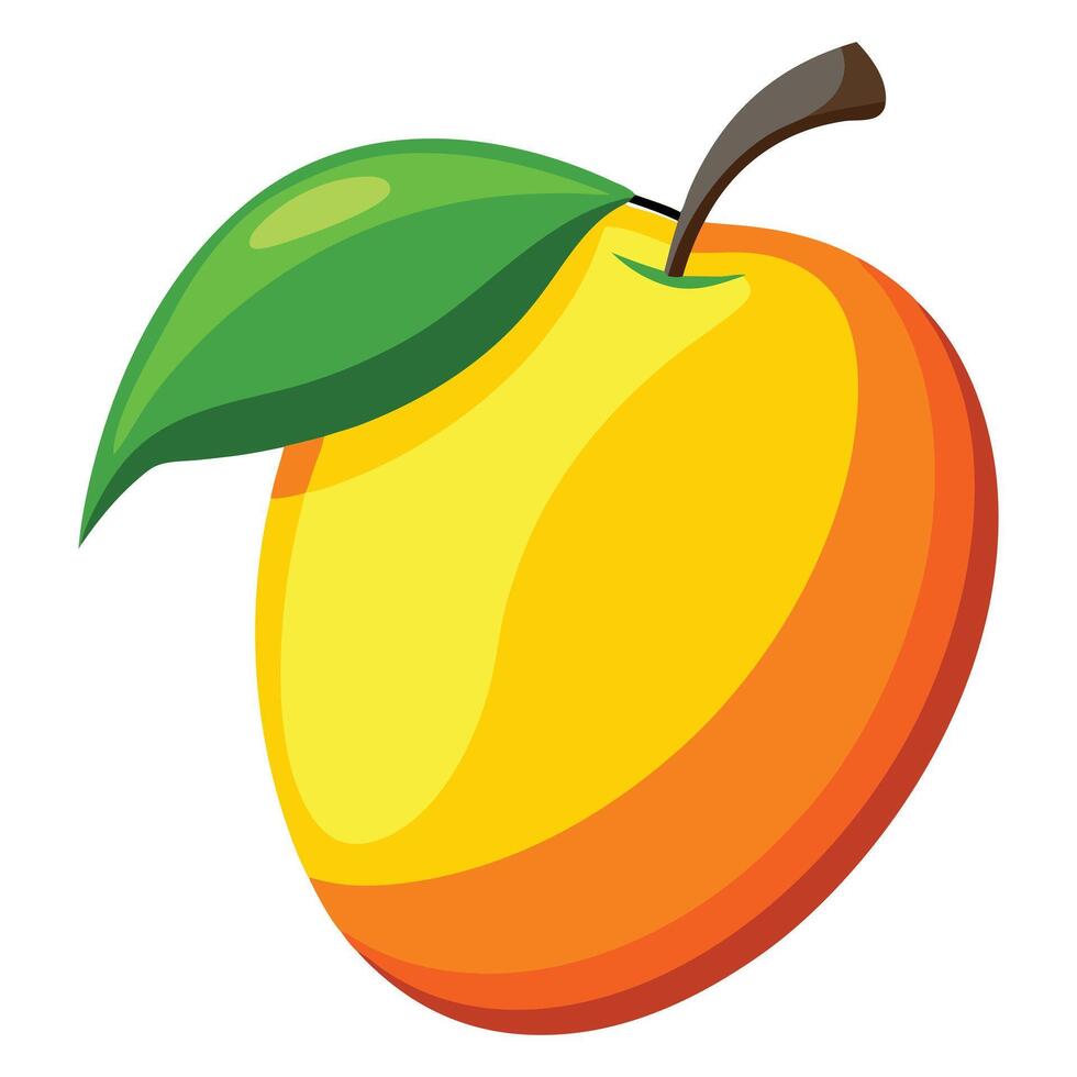 Mango on a white background vector