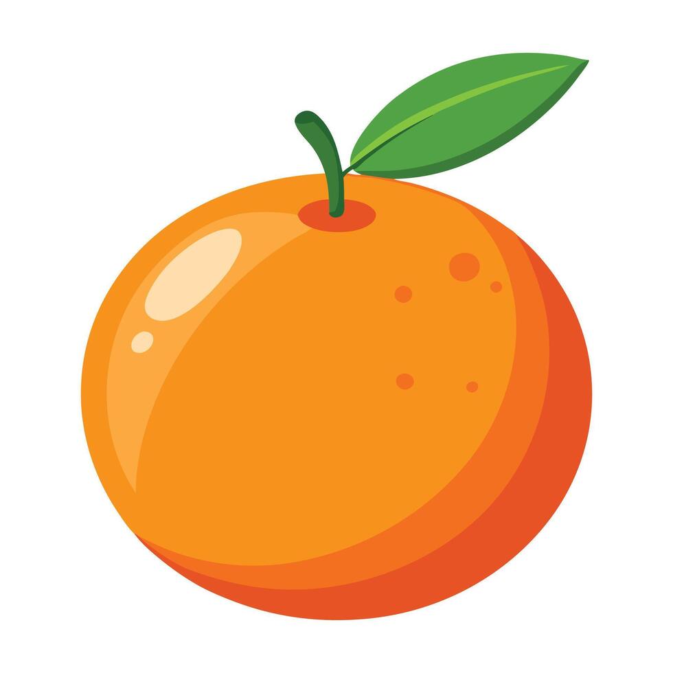 Hand drawn orange illustration picture vector