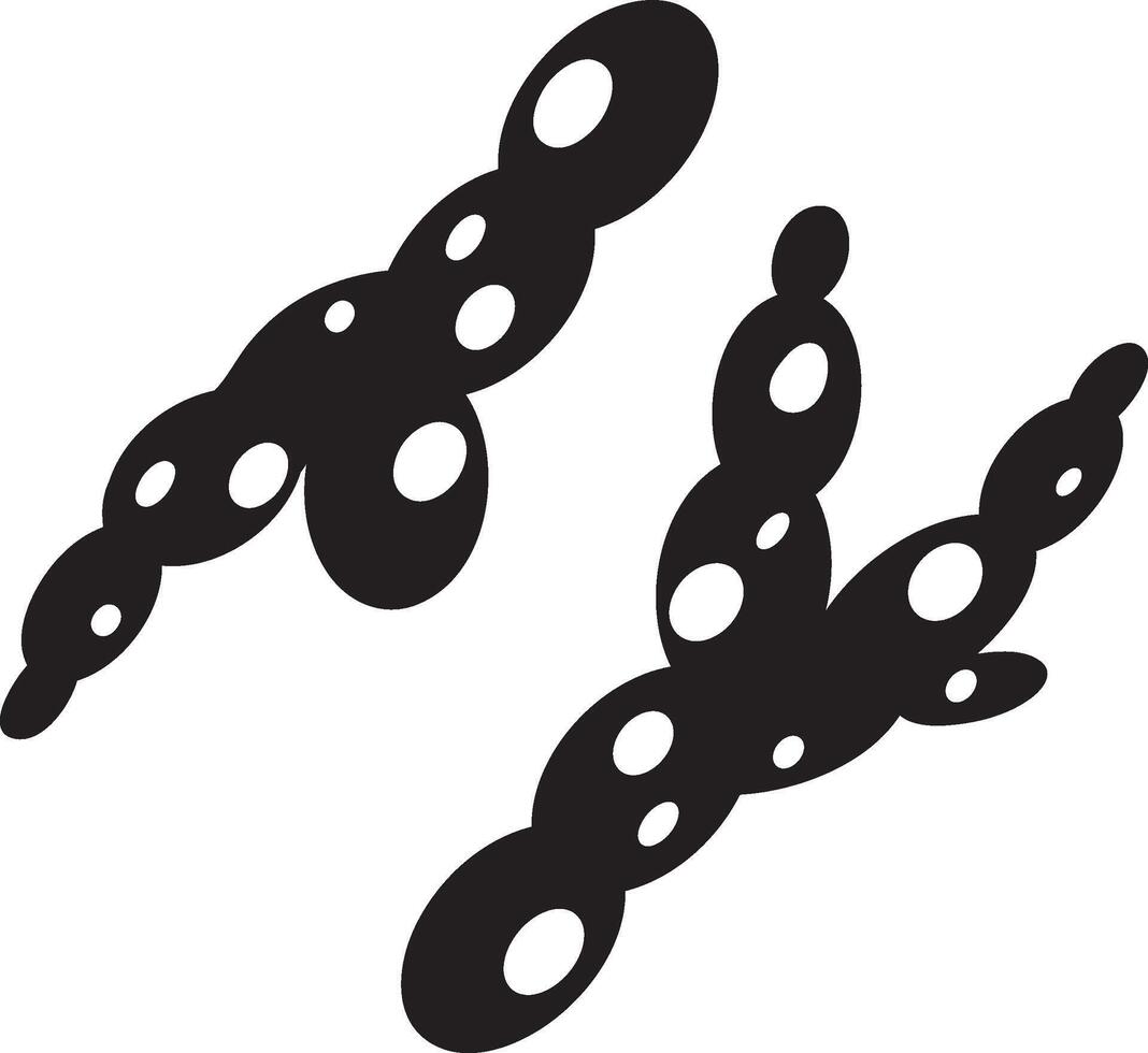 Two shigella bacteria with black bodies and white spots are undergoing binary fission, illustrating the rapid reproduction process of these harmful microorganisms vector