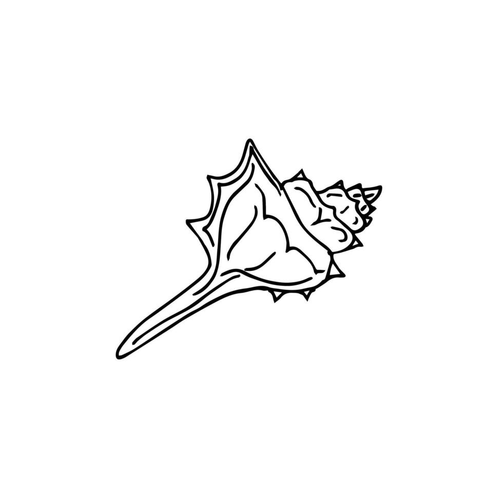 Hand drawn doodle sketch shell vector
