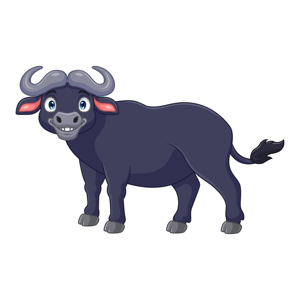 Cartoon African buffalo isolated on white background vector