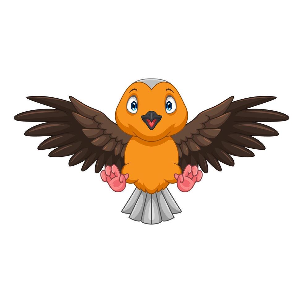 Cartoon robin bird flying on white background vector