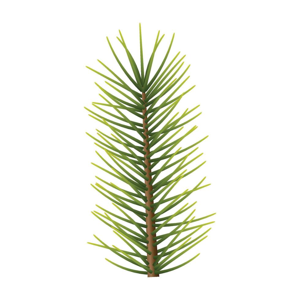 Christmas branch isolated on white background vector