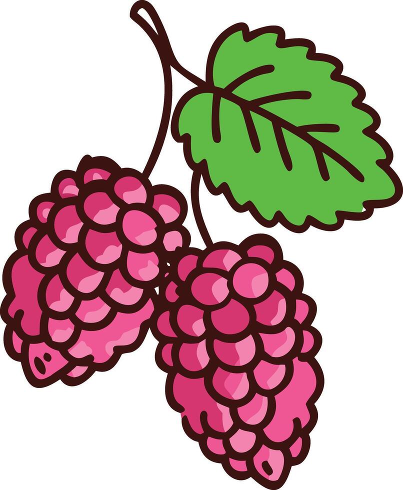 Mulberry Illustration with Leaves in Detail, Detailed illustration of two mulberries with a green leaf, showcasing their dark purple color and textured surface in a graphic style. vector