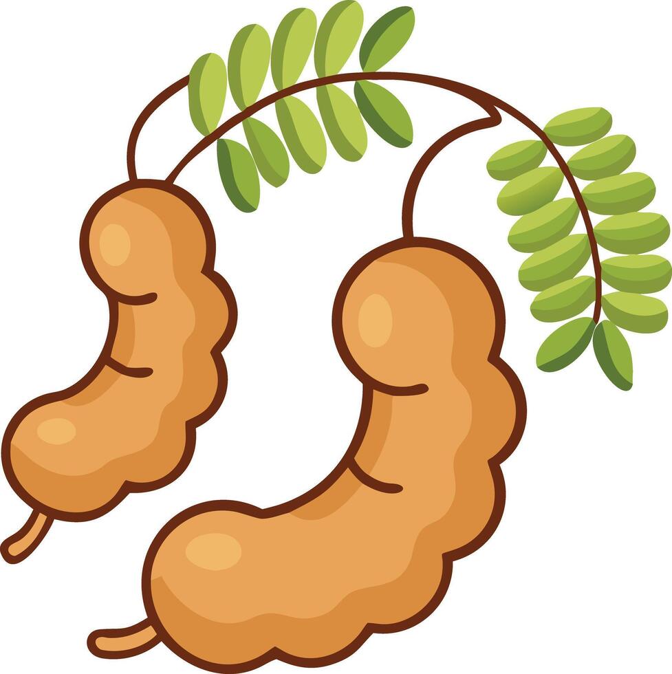 Cartoon Illustration of Tamarind Pods with Leaves, illustration of tamarind pods with green leaves, depicted in a simple, cartoon style, ideal for tropical or culinary themes. vector