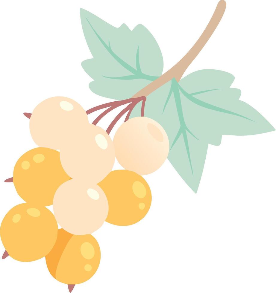 Cartoon Illustration of White Currant Cluster with Leaf, illustration of a white currant cluster with a green leaf in a simple, cartoon style, perfect for berry or summer-themed designs. vector