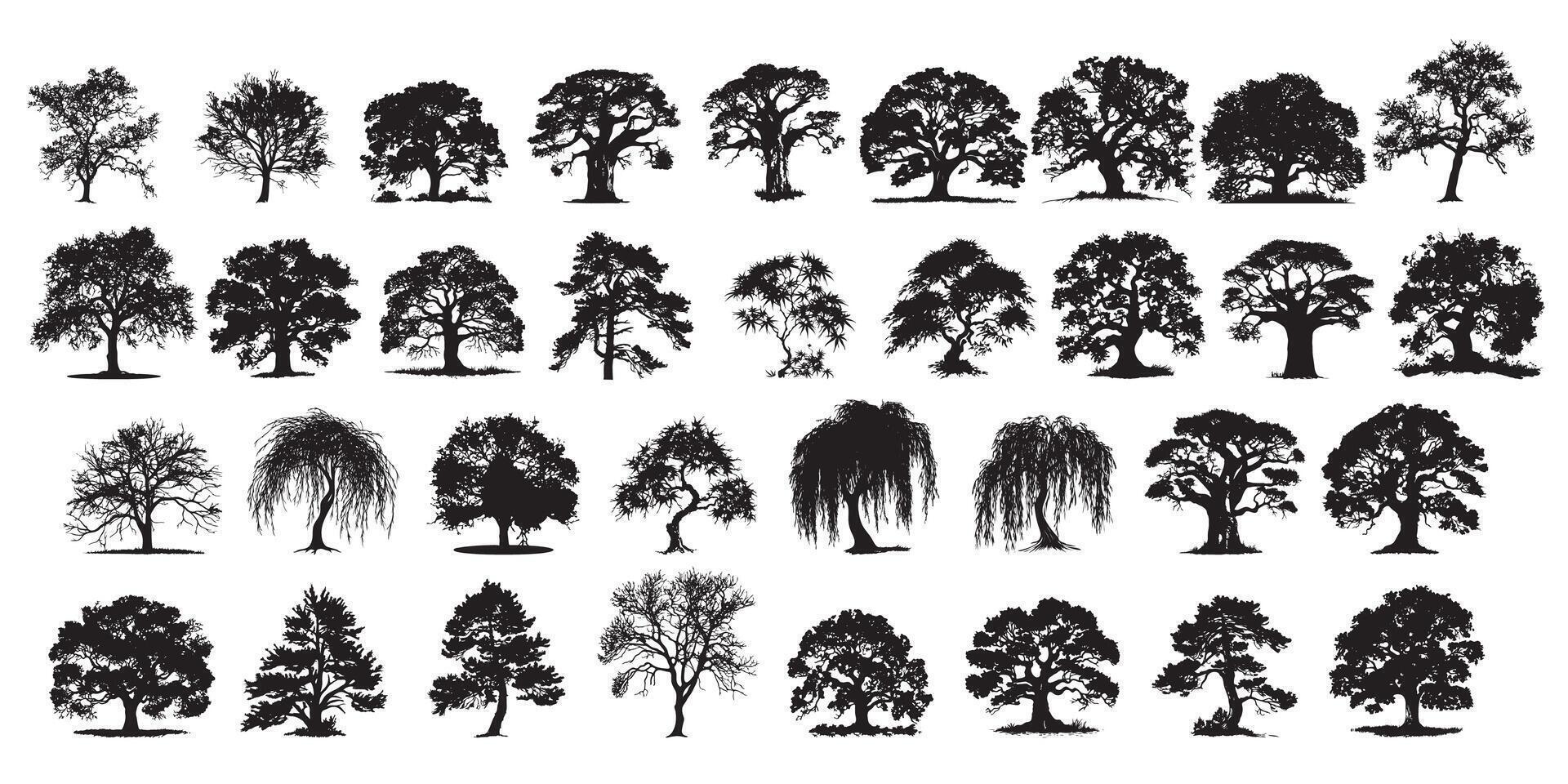 Diverse Tree Silhouette Collection vector