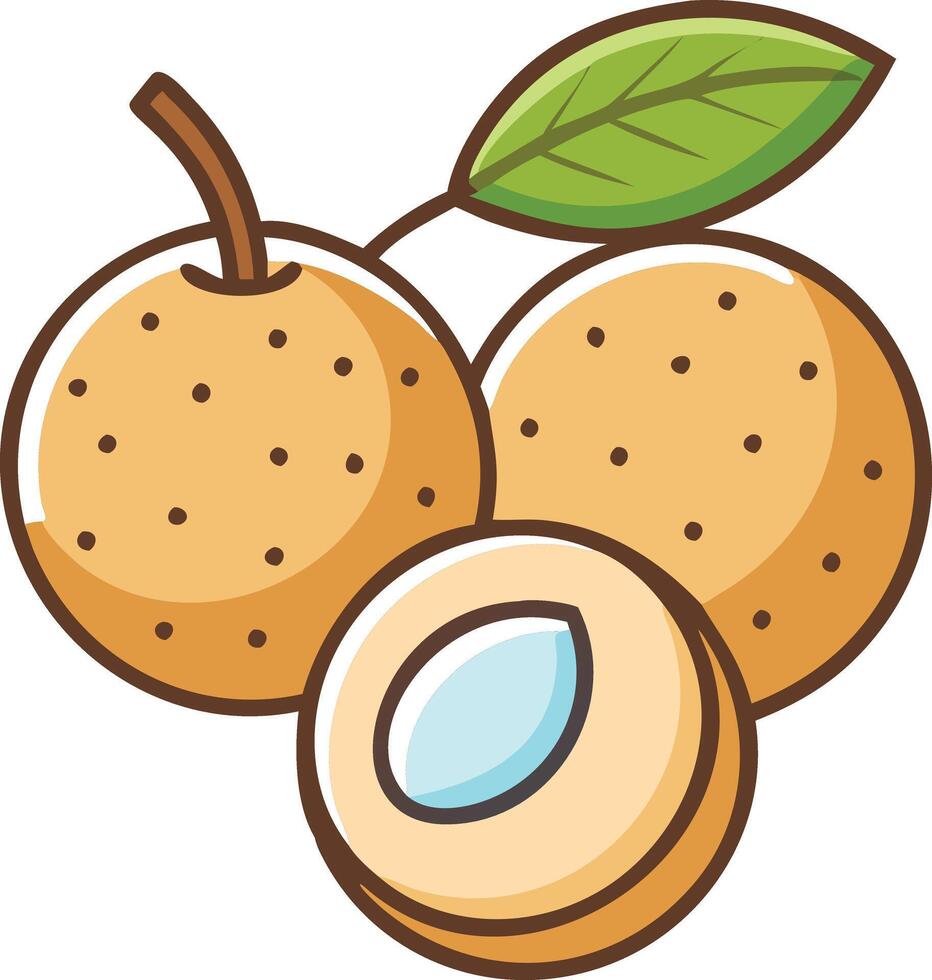 Cartoon illustration of longan with leaves,showcasing simple, minimalistic,stylized ,colorful design.ideal for food-related designs or healthy eating themes. vector
