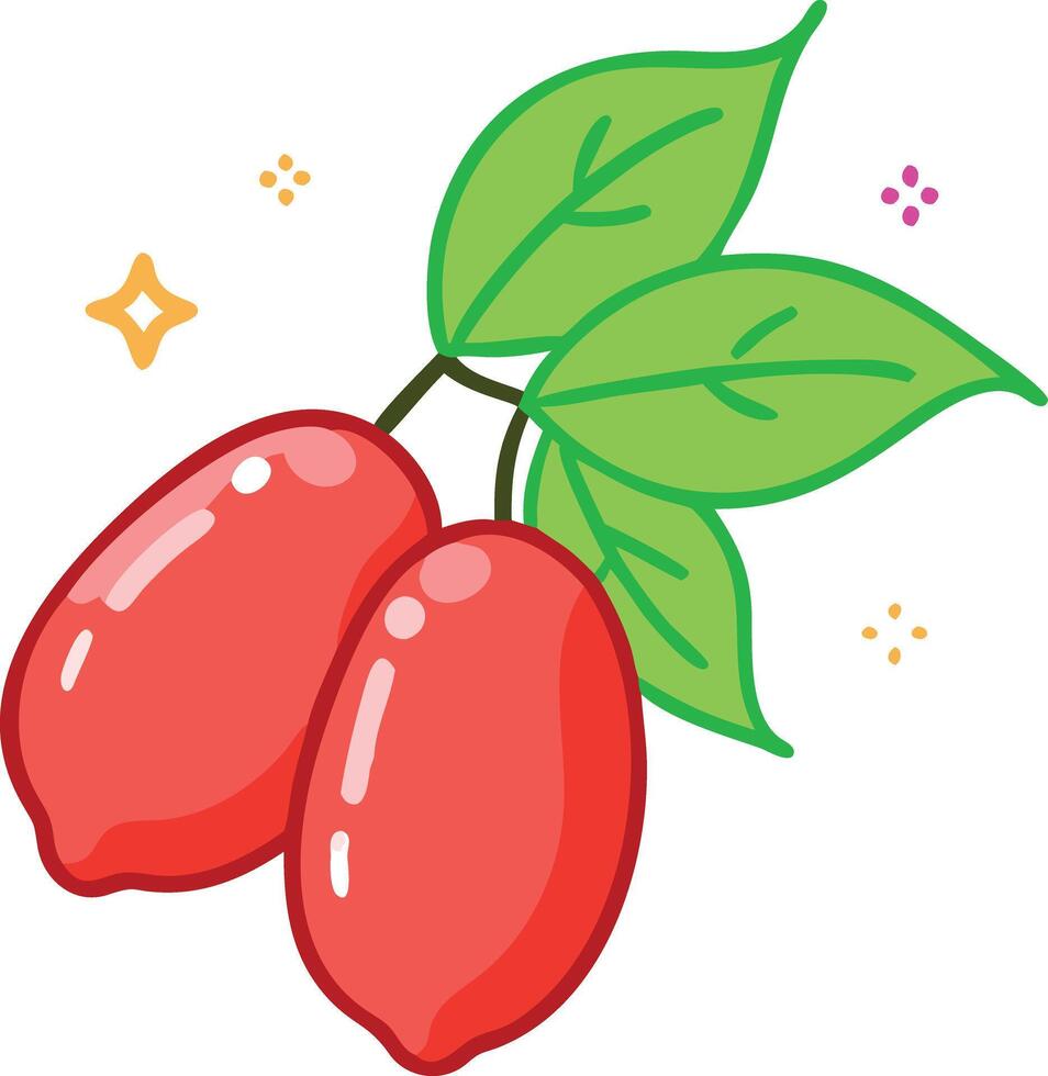 Goji Berry Illustration with Leaves and Sparkles, Colorful illustration of two goji berries with green leaves and decorative sparkles, symbolizing health and vitality in a playful style. vector