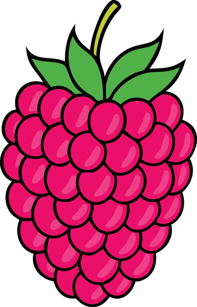 Raspberry Illustration with Leafy Stem, Bright and detailed illustration of a raspberry with a leafy stem, showcasing its vibrant red color and clustered texture in a graphic style. vector