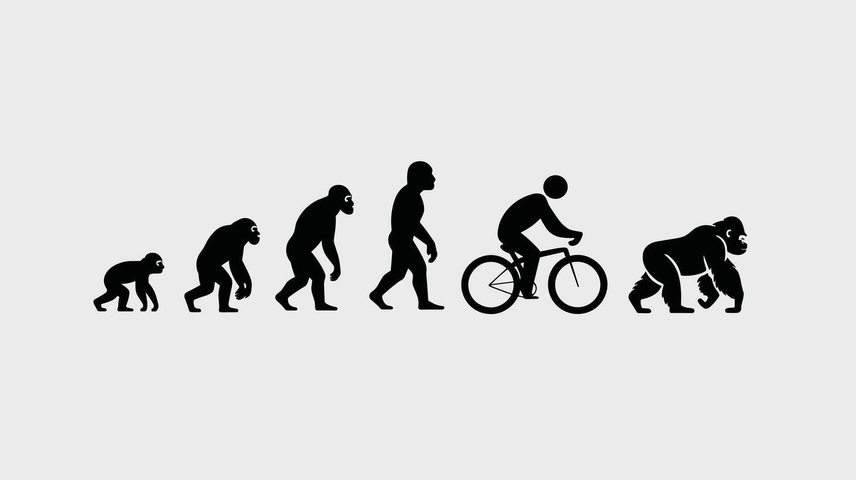 Evolution of man illustrated with transition from ape-like ancestor to modern human on a bicycle. vector