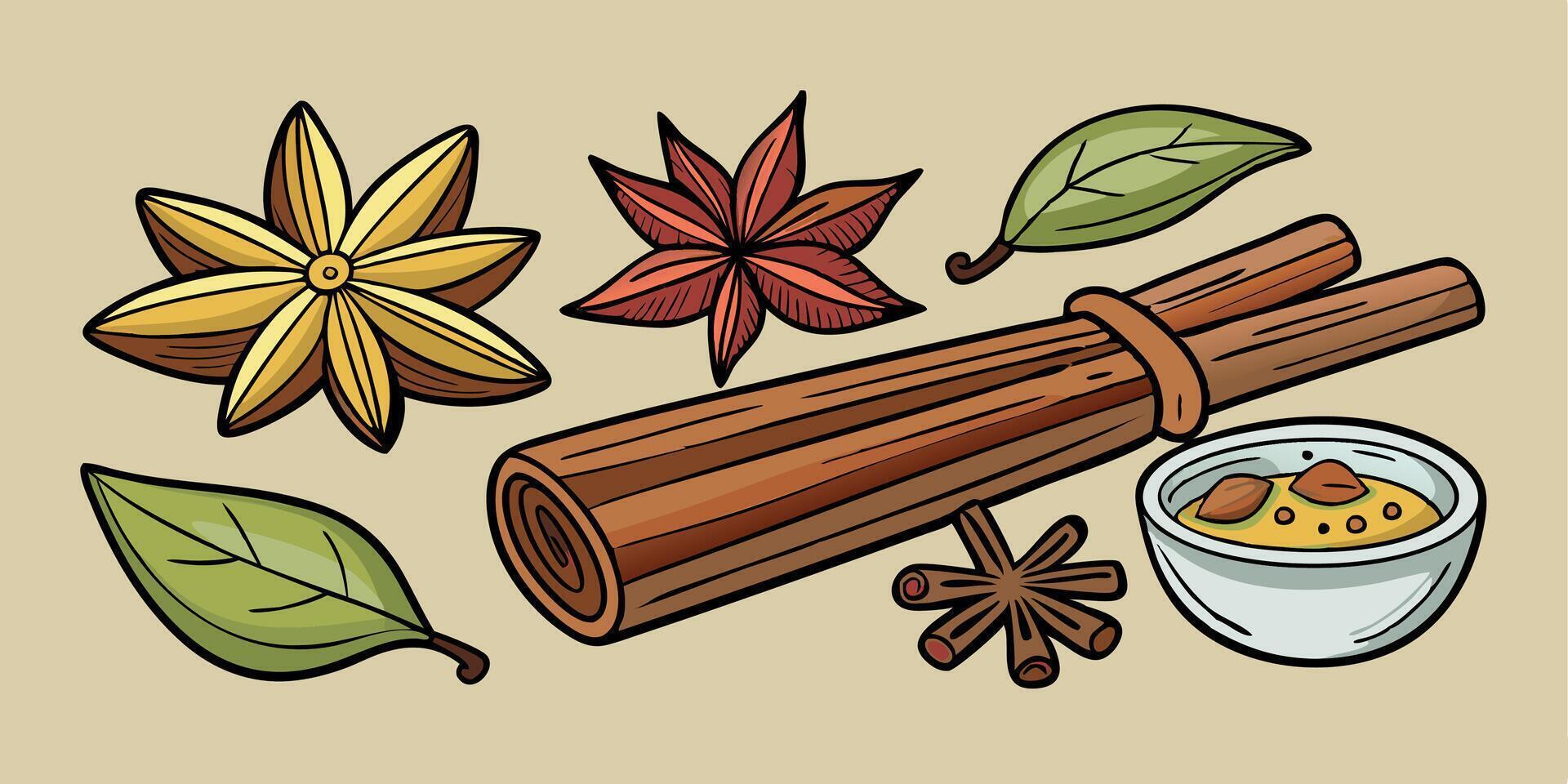 Set of spicy aromatic food. Cinnamon and anise spice. Drawn flavor condiment. Scent aroma cooking ingredient. Kitchen cannella seasoning vector