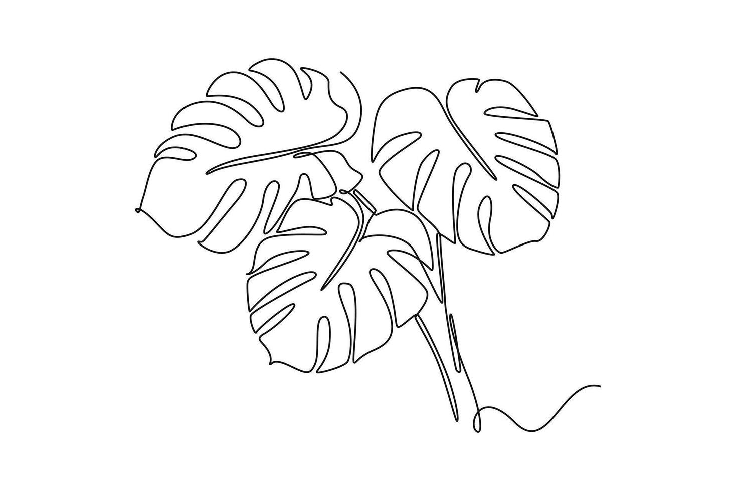 Continuous one line drawing of monstera leaf. Botany concept for poster, wall art, tote bag, mobile case, t-shirt. Decorative house plant for wall decor. Single line design graphic illustration vector