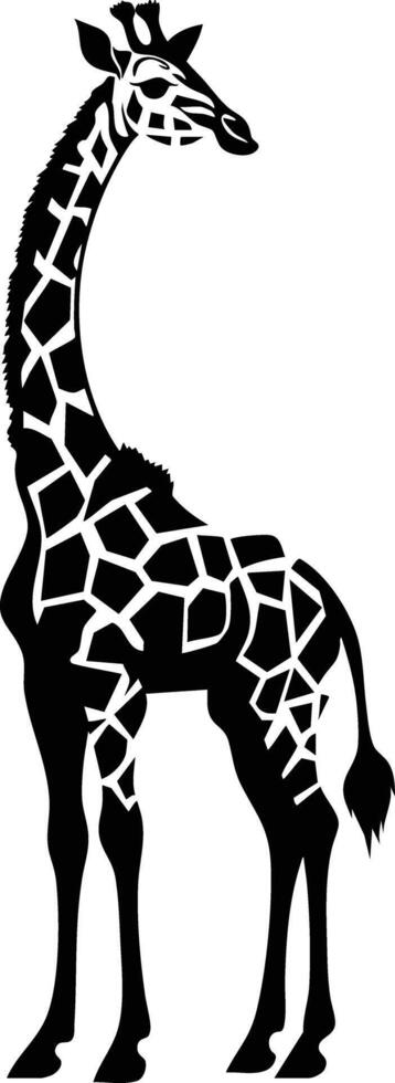 A Tall Silhouette Of A Giraffe In The African Savanna. vector
