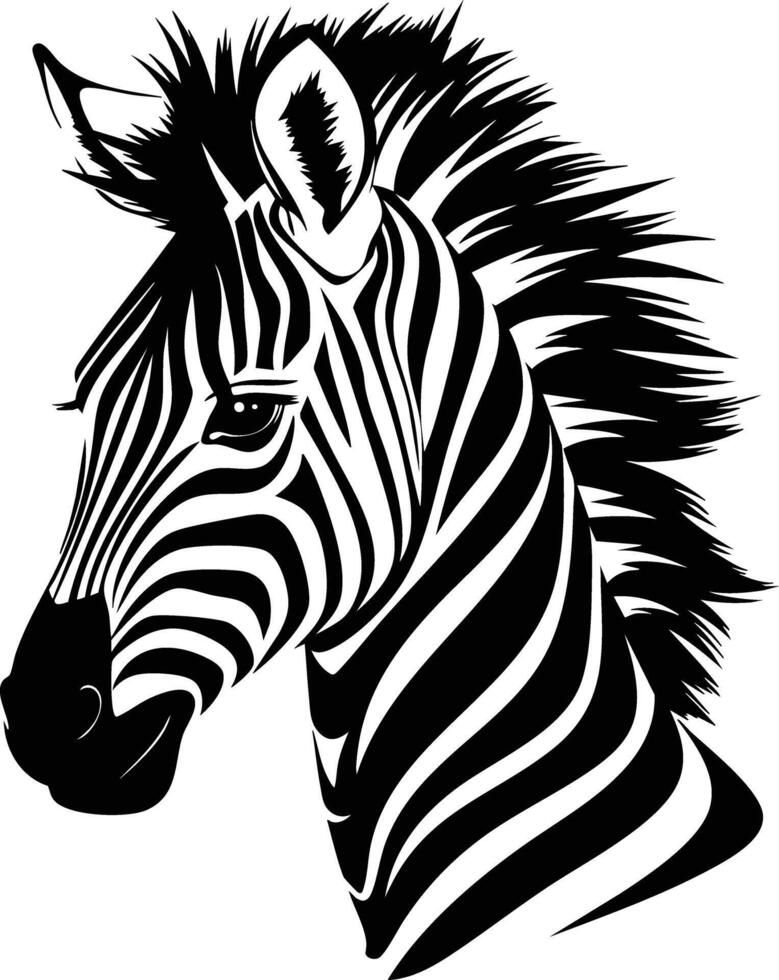 Zebra Portrait in Striking Black and White Stripes. vector
