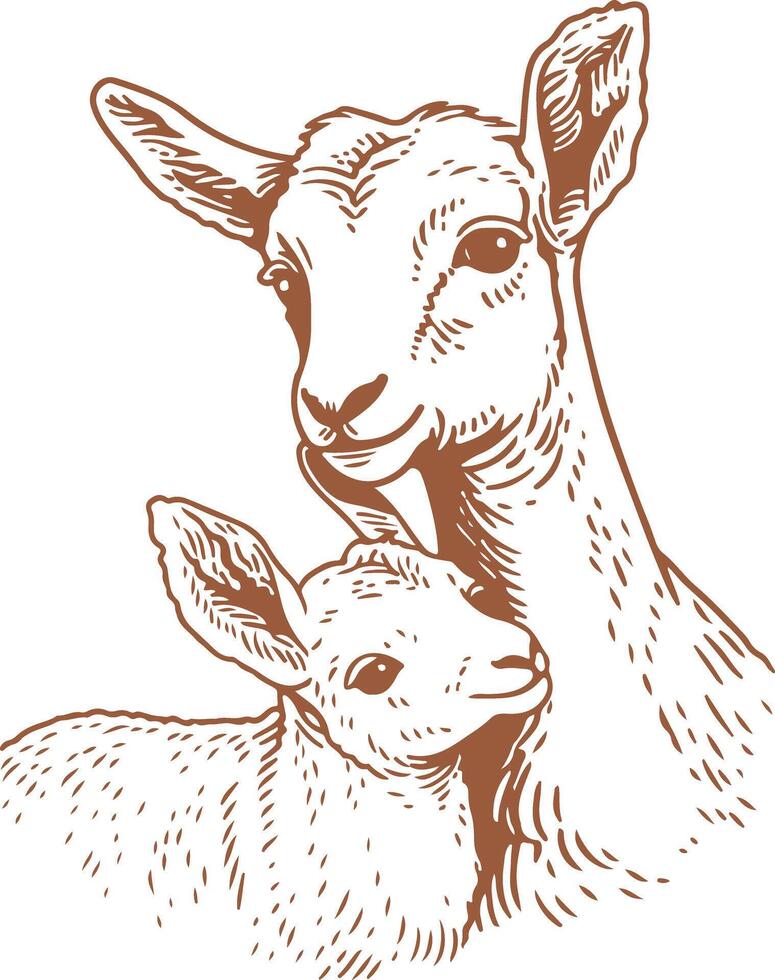 Mother and Baby Goat Illustration vector