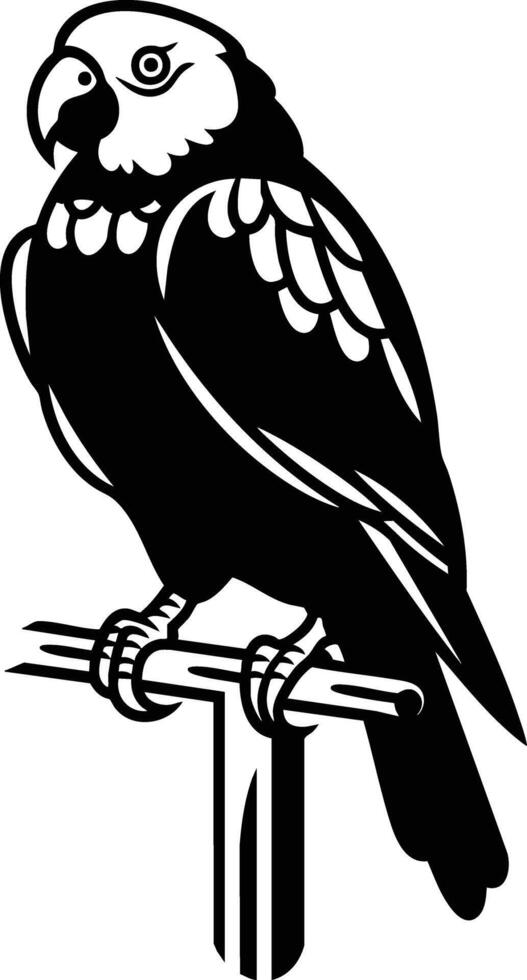 Majestic Parrot Perched on a Branch, Black and White Silhouette. vector
