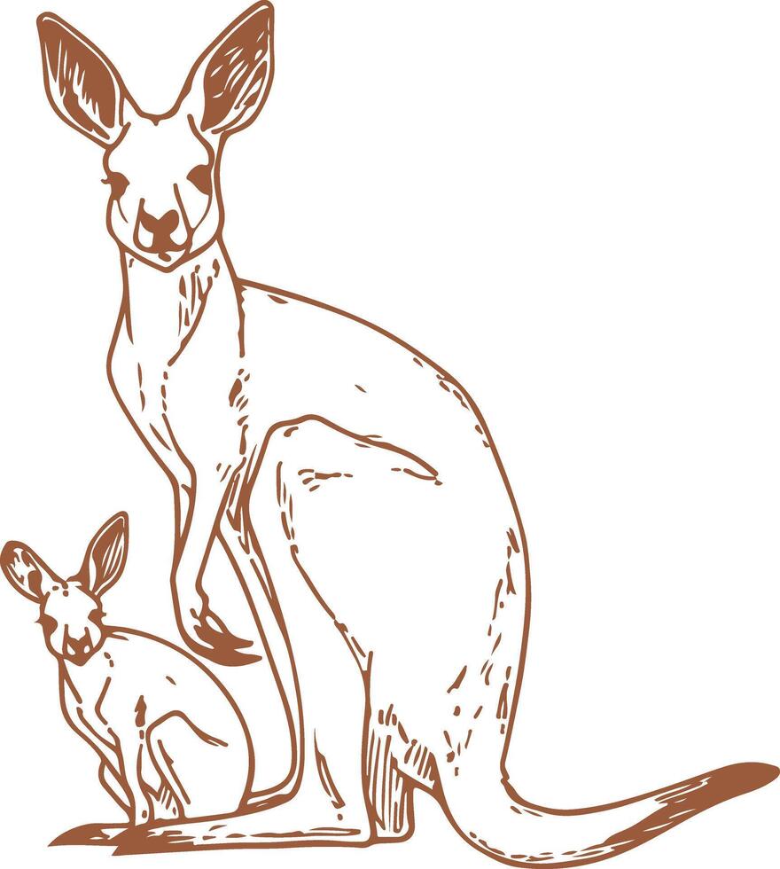 Mother and Baby Kangaroo vector