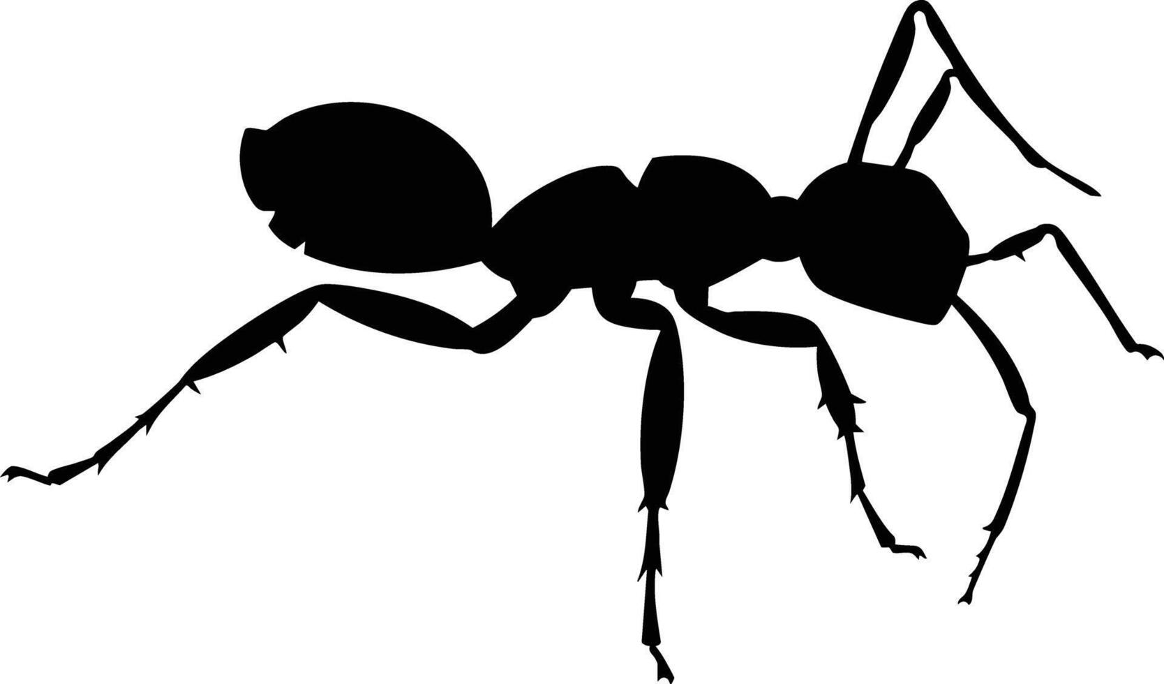 A Black Ant Silhouette Walking on a White Background. vector