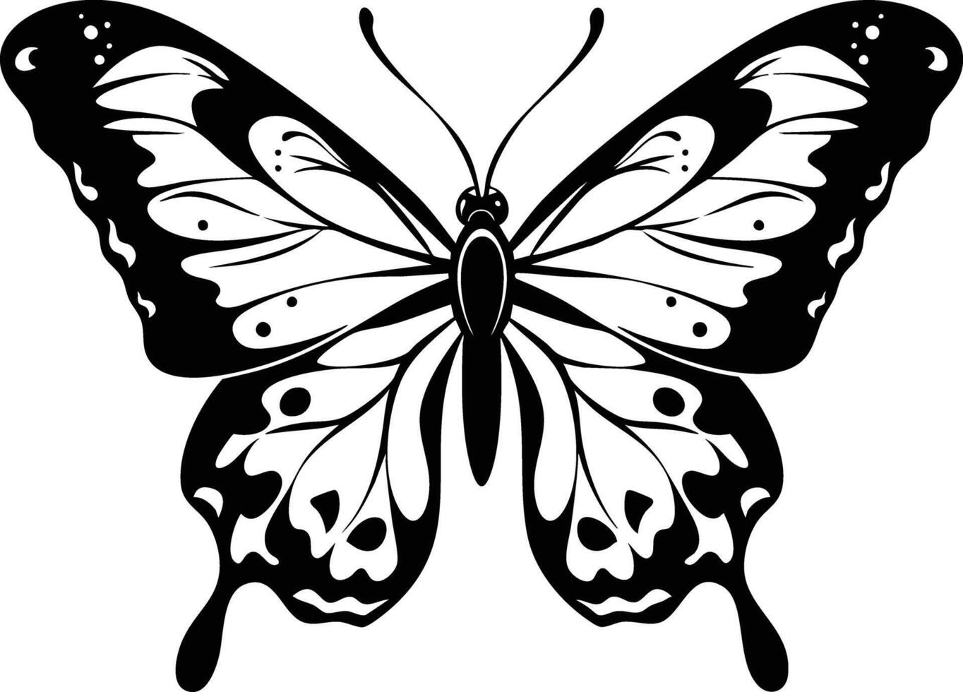 Black and White Butterfly Illustration, Exquisite Wings vector