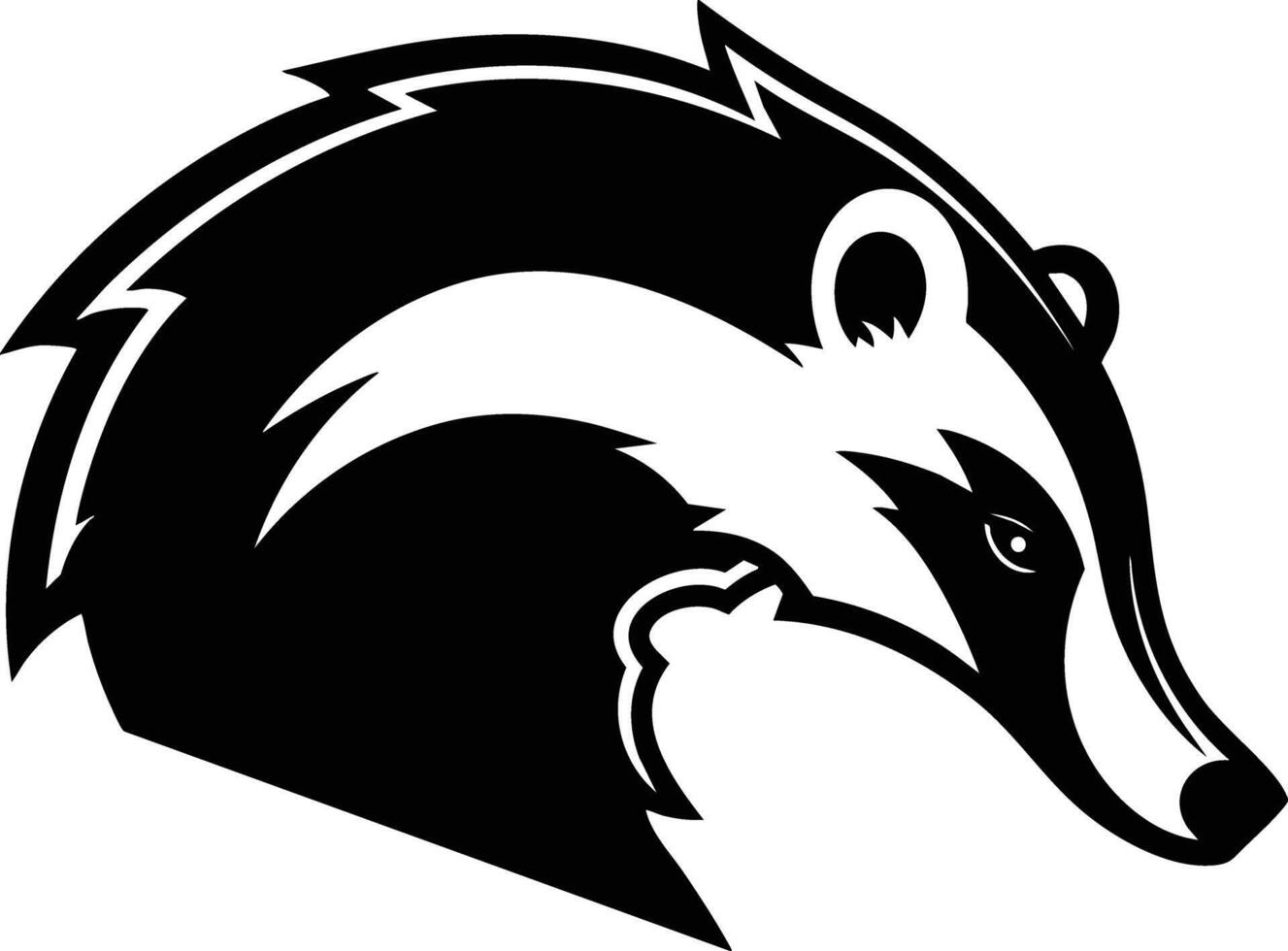 The Badger's Vigilant Gaze, A Black and White Portrait. vector