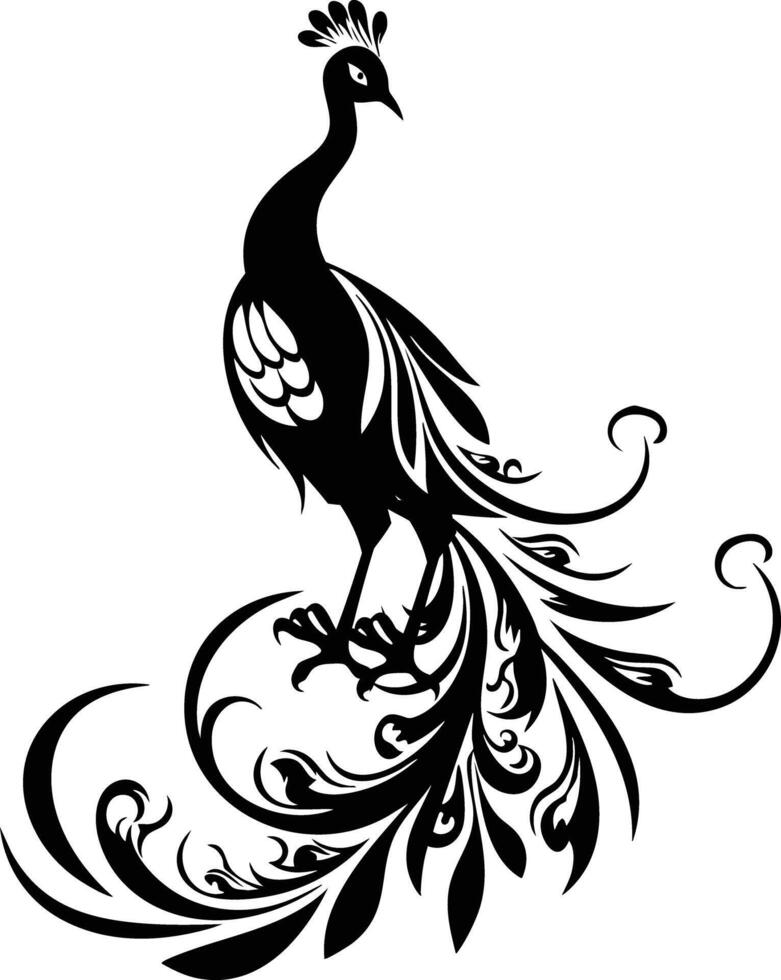 Elegant Peacock Silhouette with Majestic Tail Feathers. vector